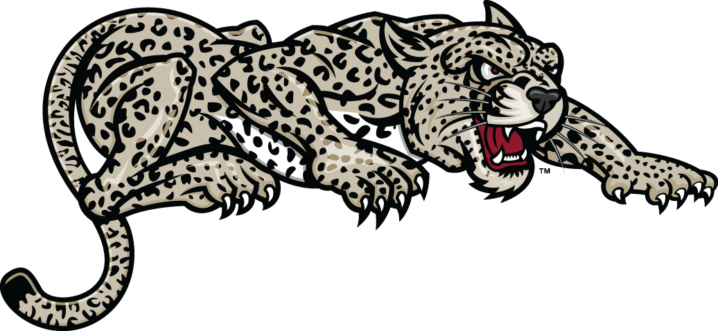 Lafayette Leopards 2000-Pres Partial Logo t shirts DIY iron ons v2